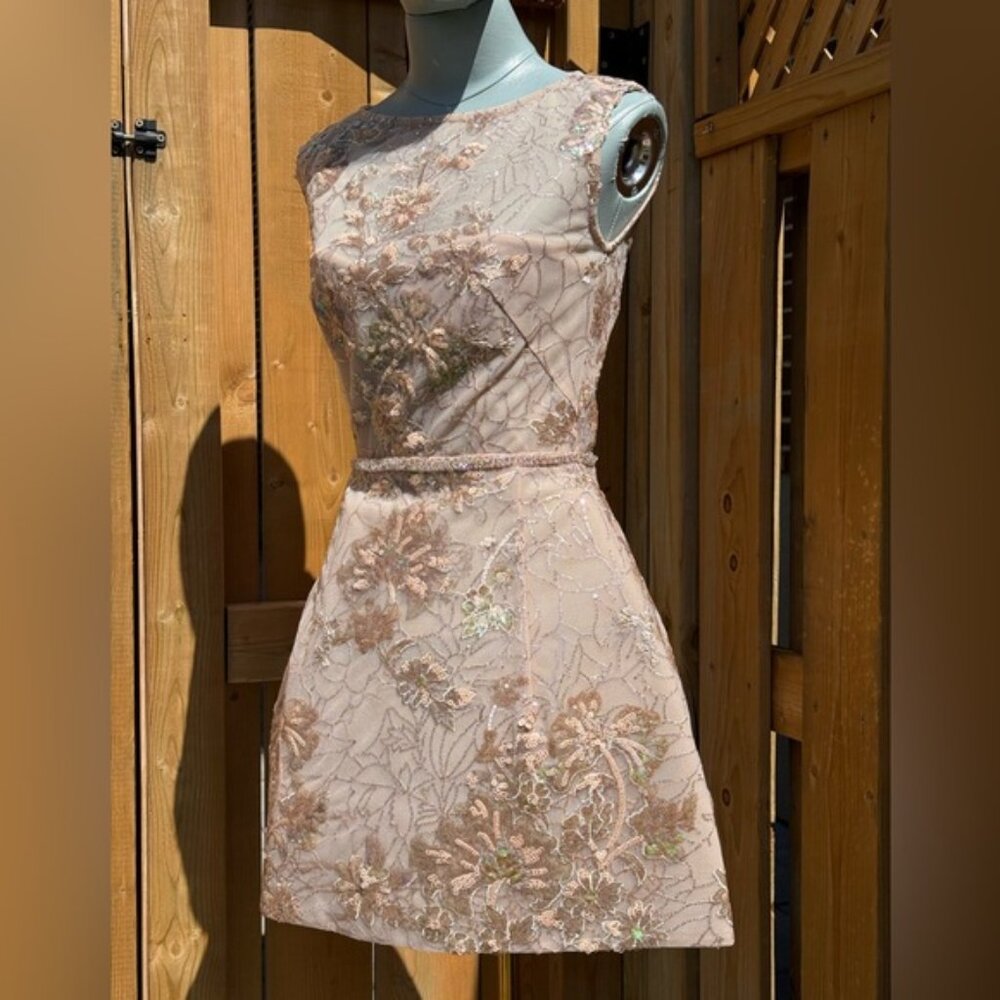 🆕 BRONX & BANCO 🧿 NWOT Violet Mini Dress, Gold & Champagne Sequin - Sz XS US 2 - Picture 4 of 15